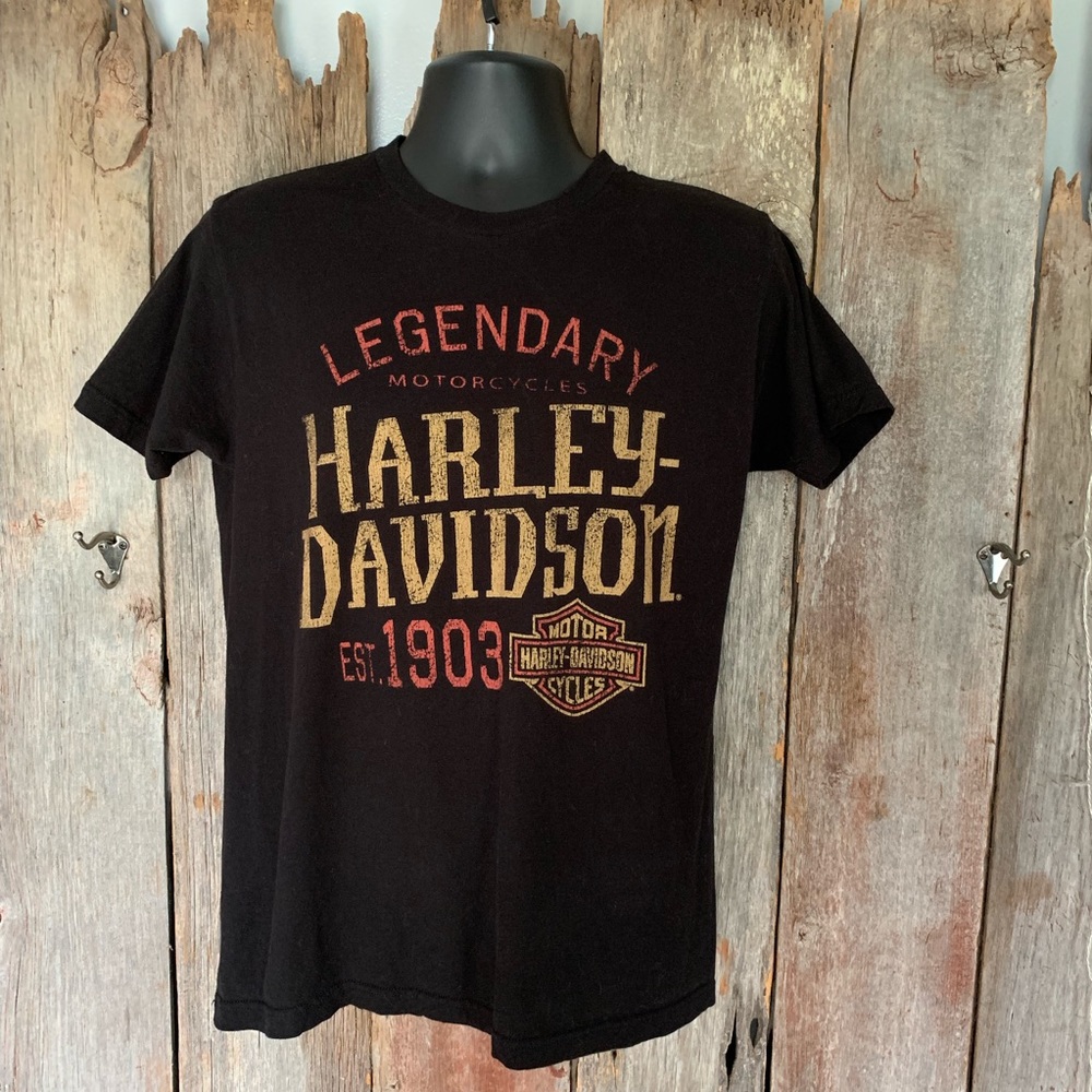 🏍 Harley Davidson Legendary Men’s Sz L